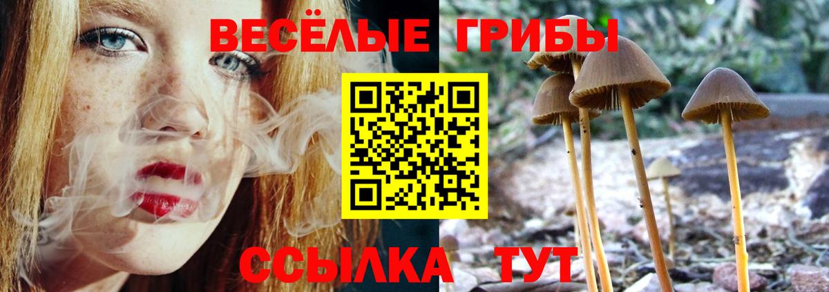 Псилоцибиновые грибы мухоморы Солнечногорск