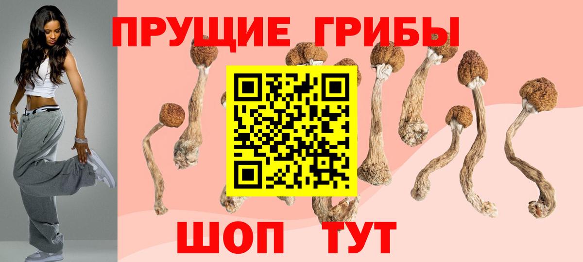 Солнечногорск  Псилоцибиновые грибы MAGIC MUSHROOMS  Псилоцибиновые грибы прущие грибы  Вход с VPN 